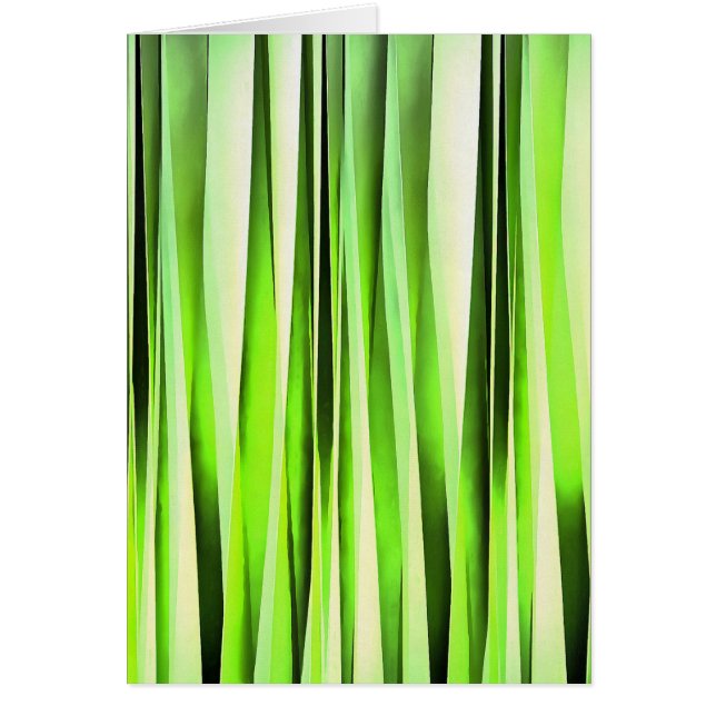 Eeuwig Altijdgroen Gestreept Patroon (Voorkant)