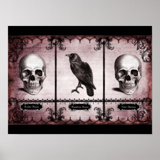 Eeuwig Leven Poster (Voorkant)