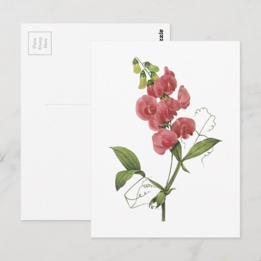 eeuwigdurende schat door Redouté Briefkaart (Voorkant / Achterkant)