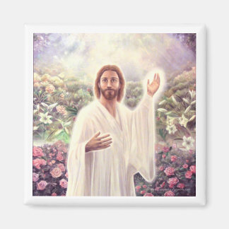 Eeuwige levensmagneet magneet