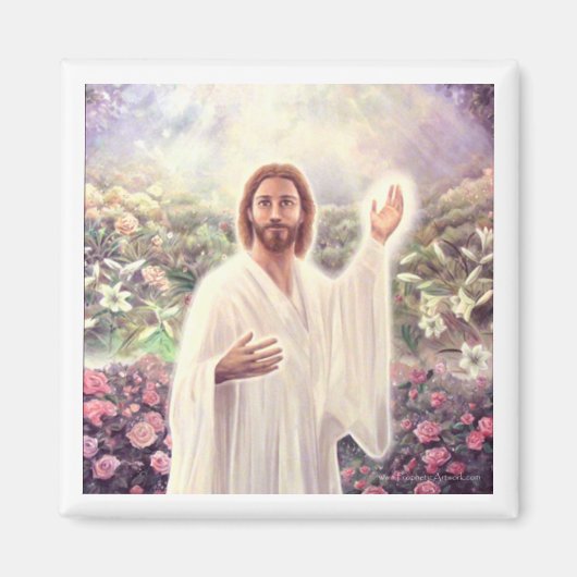 Eeuwige levensmagneet magneet (Voorkant)