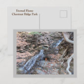 Eeuwige vlam bij de Rug Briefkaart (Voorkant / Achterkant)