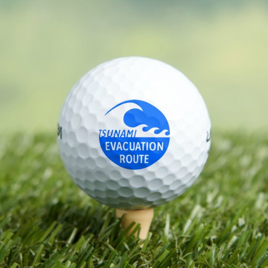 Eevacuatieroutewegteken Golfballen (Insitu Shirt)