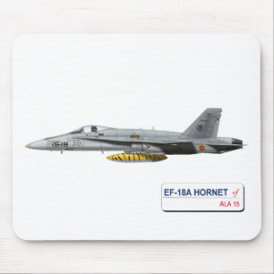 EF-18A HORNET SPAANSE LUCHTKRACHT MUISMAT