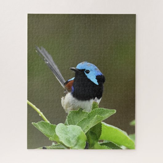 Efairiawrida Legpuzzel (Verticaal)
