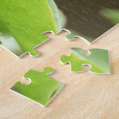 Efairiawrida Legpuzzel (Zijkant)