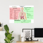 Effecten op lange termijn van de Ethanol-indigesti Poster (Thuiskantoor)
