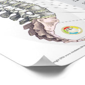 Effecten van ruggengraatsubluxe in het Frans Poster (Hoek)