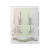Effecten van ruggenmergsubluxvorming Notitieblok (Linkerzijde)