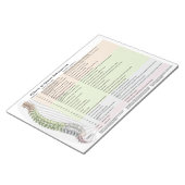 Effecten van ruggenmergsubluxvorming Notitieblok (Schuin)