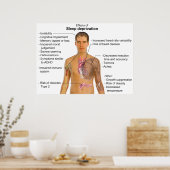 Effecten van slaapaanvallen op het menselijk licha poster (Keuken)
