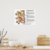 Effecten van Spinale Subluxatie Chiropraktijk Post Poster (Keuken)