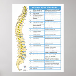 Effecten van Spinale Subluxatie Chiropraktijk Post Poster