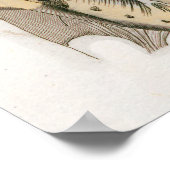 Effecten van Spinale subluxatie Poster Chiroprakti (Hoek)