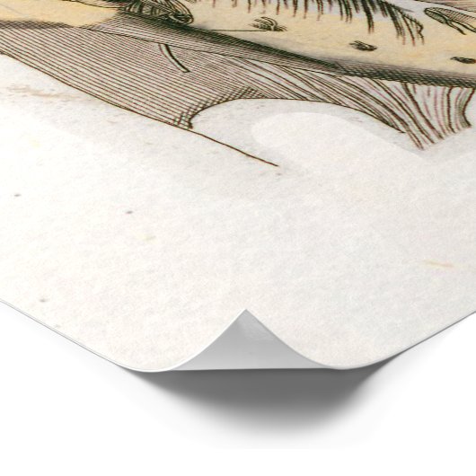 Effecten van Spinale subluxatie Poster Chiroprakti (Hoek)