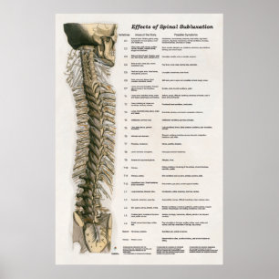 Effecten van Spinale subluxatie Poster Chiroprakti