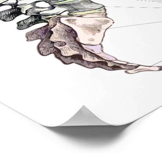 Effecten van Spinale subluxatie Poster Chiroprakti (Hoek)