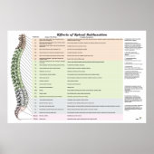 Effecten van Spinale subluxatie Poster Chiroprakti (Voorkant)
