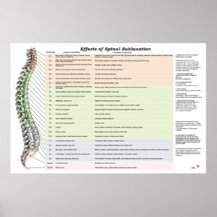 Effecten van Spinale subluxatie Poster Chiroprakti