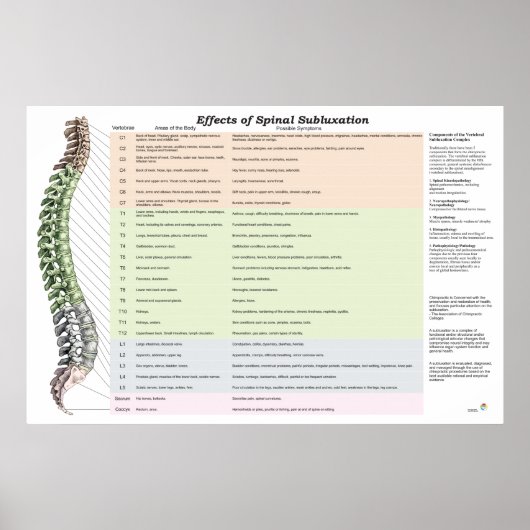 Effecten van Spinale subluxatie Poster Chiroprakti (Voorkant)