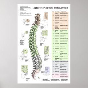 Effecten van Spinale subluxatie Poster Chiroprakti