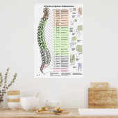 Effecten van Spinale subluxatie Poster Chiroprakti (Keuken)