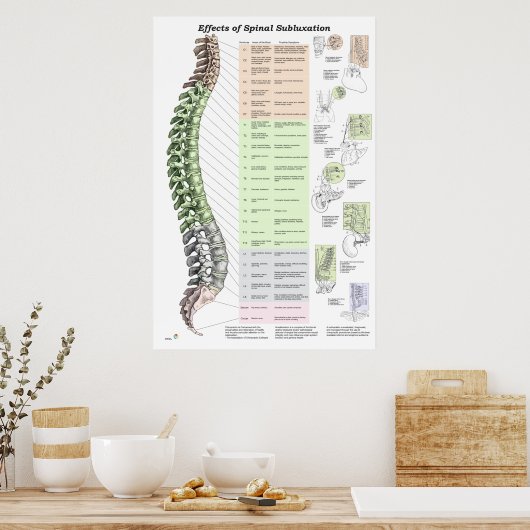 Effecten van Spinale subluxatie Poster Chiroprakti (Keuken)