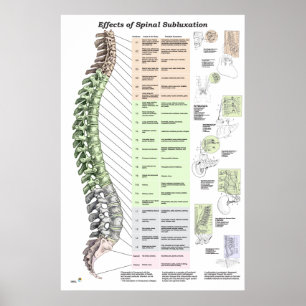 Effecten van Spinale subluxatie Poster Chiroprakti