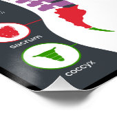 Effecten van vertebrale subluxfibrij poster (Hoek)