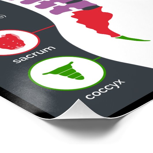 Effecten van vertebrale subluxfibrij poster (Hoek)