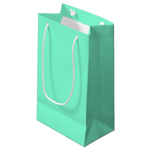 Effektief Aquamarijn Klein Cadeauzakje (Voorkant Gekanteld)