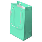 Effektief Aquamarijn Klein Cadeauzakje (Achterkant Gekanteld)