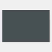 Effen geweer metaalgrijs Shades 3 tinten Inpakpapier Vel (Voorkant)