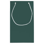 Effen grijs turquoise klein cadeauzakje (Achterkant)