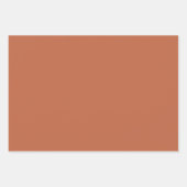 Effen kleur effen pastel rust sinaasappel inpakpapier vel (Voorkant 3)