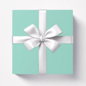Effen kleur Strand Glas vlakke aqua groene munt Cadeaupapier