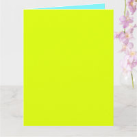effen neon kleuren