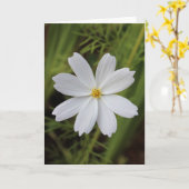 effen witte schoonheid kaart (Gele Bloem)