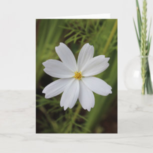 effen witte schoonheid kaart