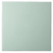 Effene Aqua Kleur Tegeltje (Voorkant)