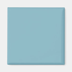 Efficiënt blauwe pastel tint minimalistisch profes magneet