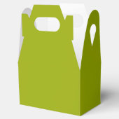 Efficiënt Limeade Groen Bedankdoosjes (Geopend)