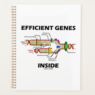 Efficiënte genen in DNA-replicatie-Humor Planner