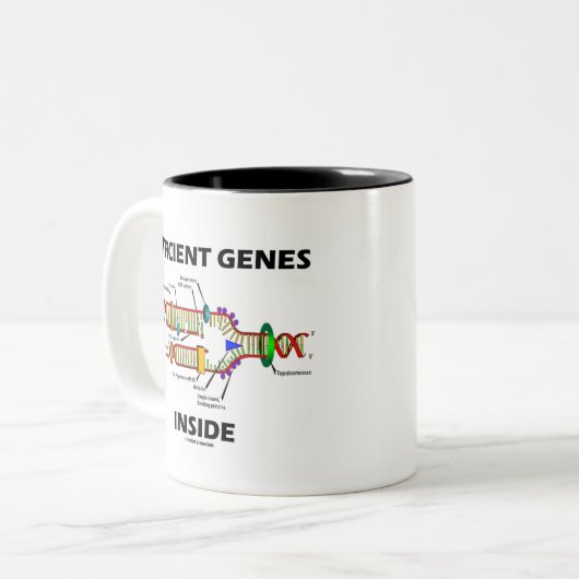 Efficiënte genen in (DNA-replicatie) Tweekleurige Koffiemok (Voorkant links)