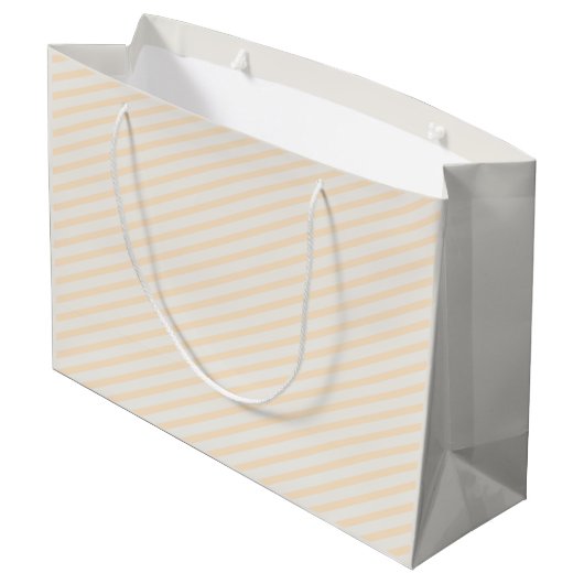 Efficiënte Pastelkleur Strepen Professioneel Minim Groot Cadeauzakje (Achterkant Gekanteld)