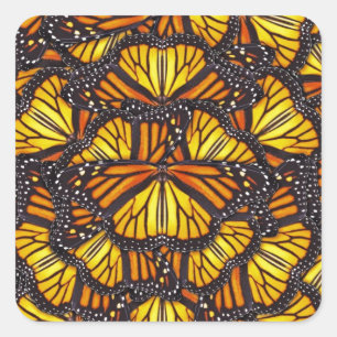 Effie's Butterflies Vierkante Sticker
