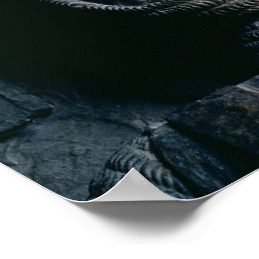 Effigy of William Marshal Earl of Pembroke Poster (Hoek)