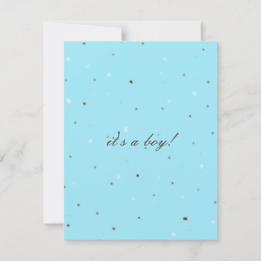 Eg Blue Baby shower van Sophisticated Stork Robin Kaart (Achterkant)