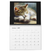 Egean Cats Kalender (Jan 2027)