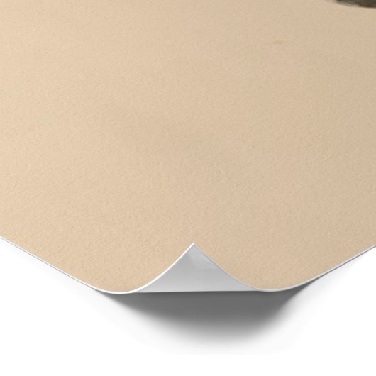 Egeïsche Zee - Kattenportret Poster (Hoek)